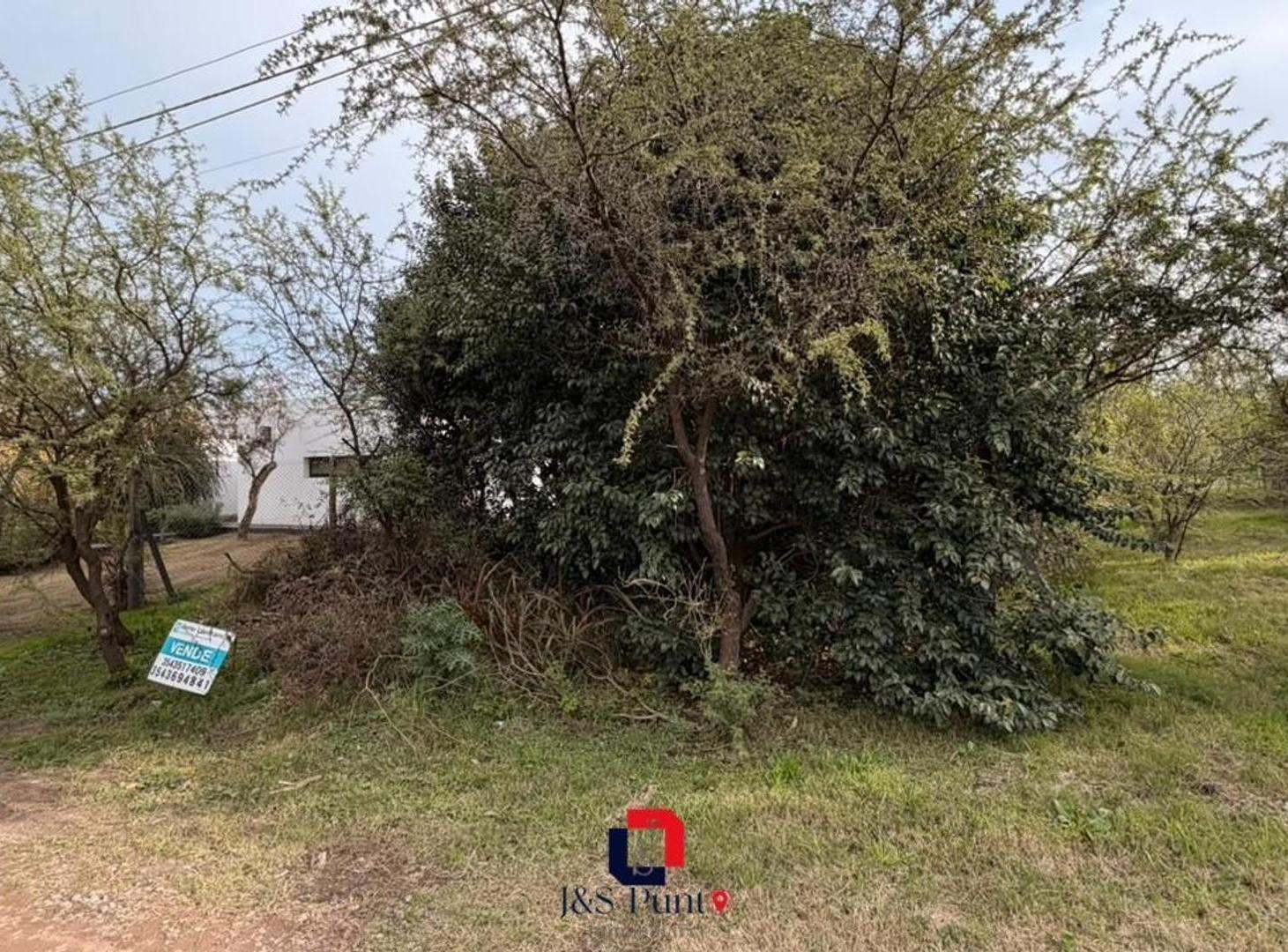 Foto de Lote en Villa Catalina, imagen 5