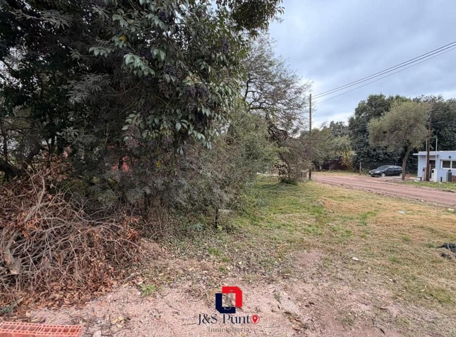 Foto de Lote en Villa Catalina, imagen 5