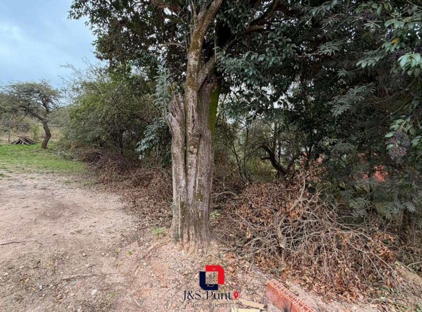 Foto de Lote en Villa Catalina, imagen 3