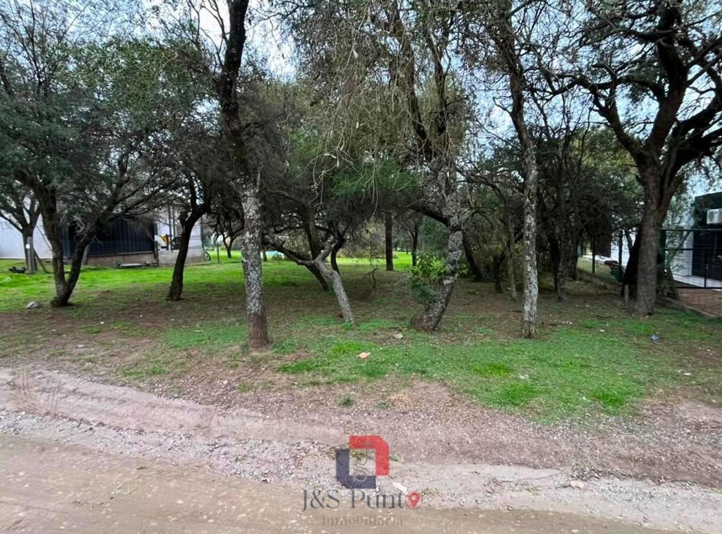 Foto de Lote en Valle del Golf, imagen 5