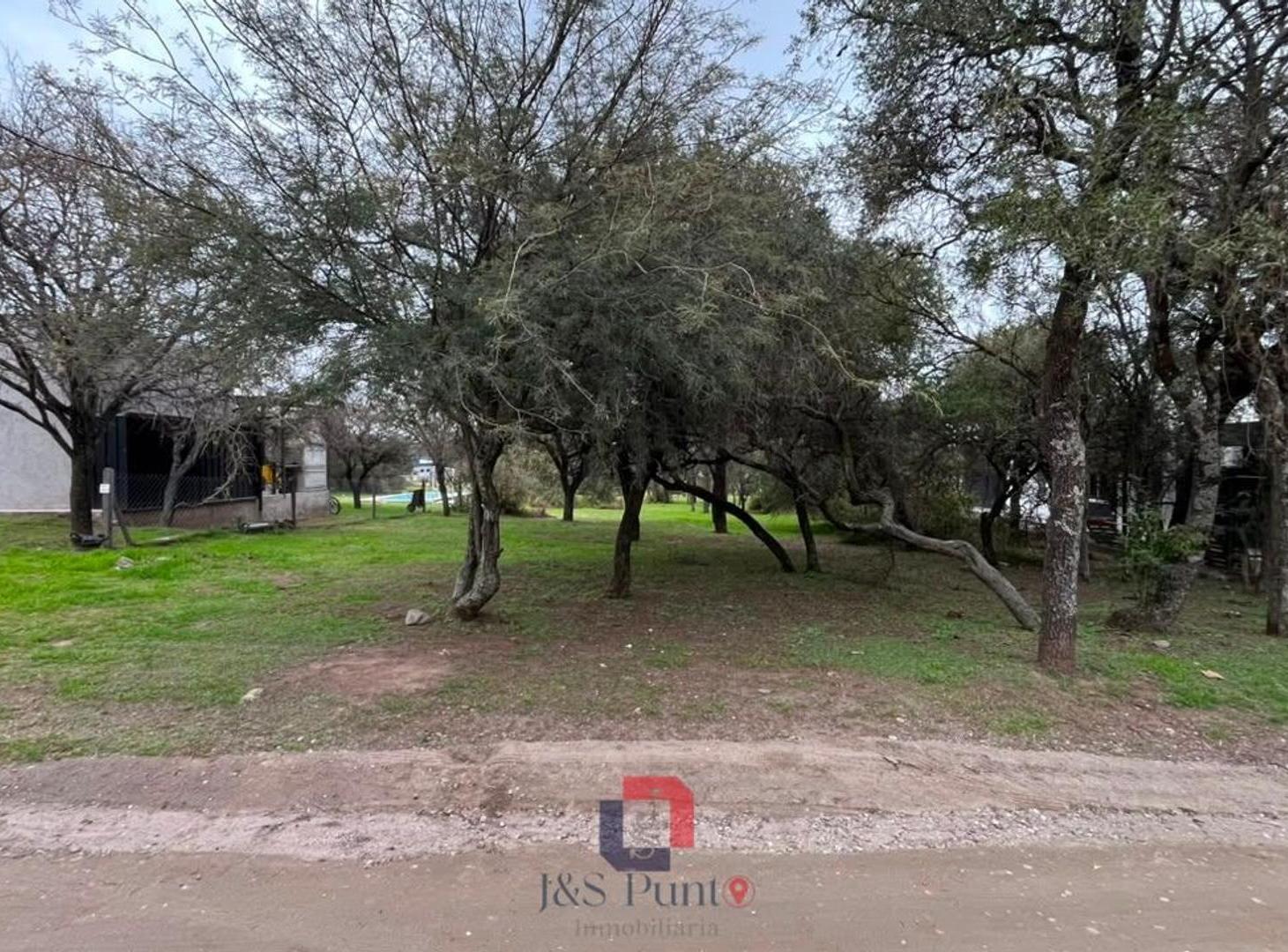 Foto de Lote en Valle del Golf, imagen 4