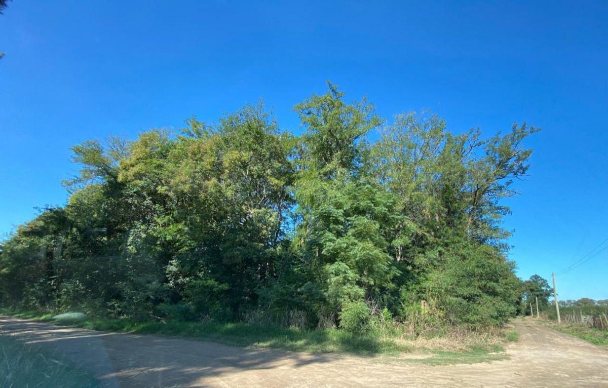 Venta Campo Mercedes 2