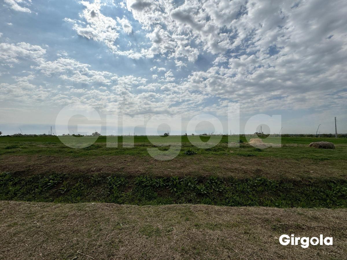 Foto de Venta de Lote Industrial en Pilar, imagen 3