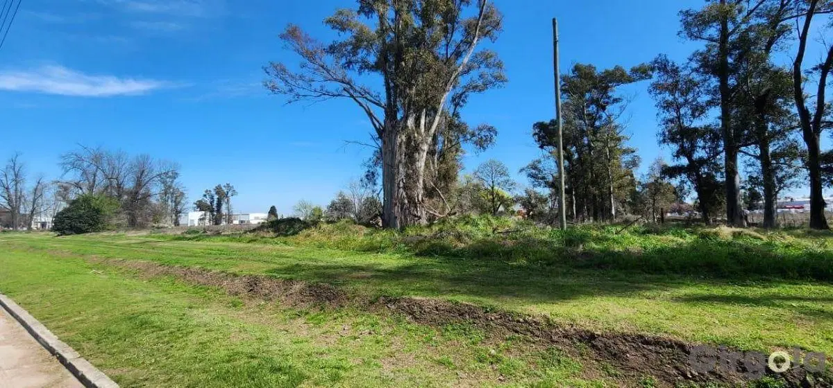 Venta de Lote en el Polo Industrial de  General Rodriguez 5
