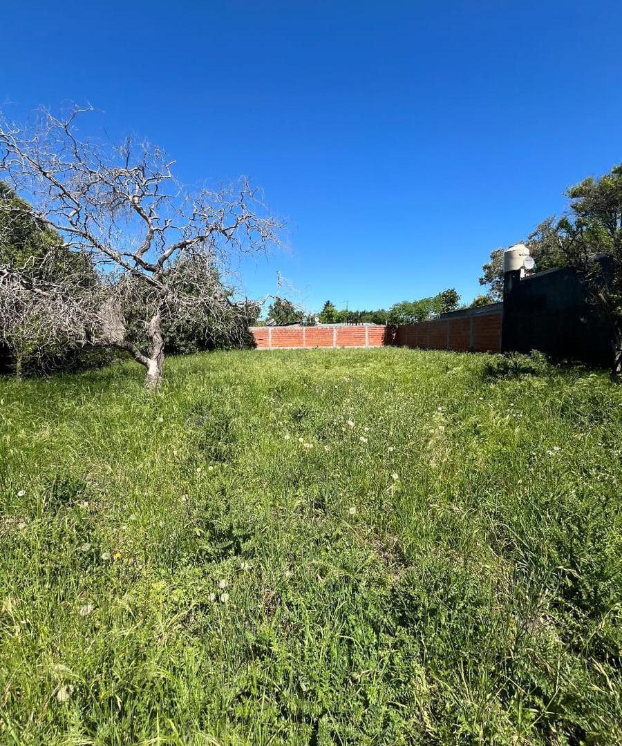 Foto de Lote en Venta en La Plata, Los Hornos ., imagen 3