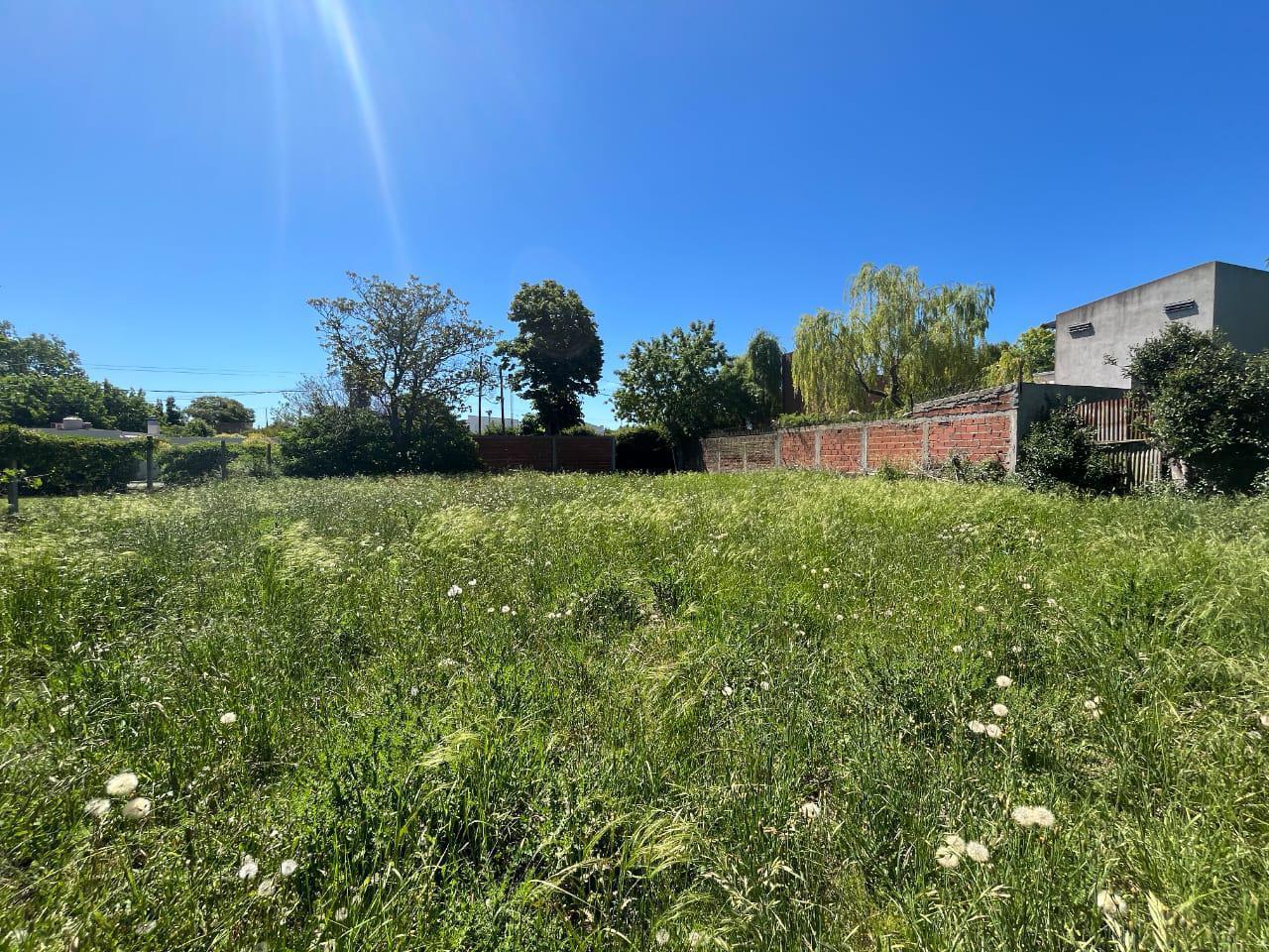 Foto de Lote en Venta en La Plata, Los Hornos ., imagen 5