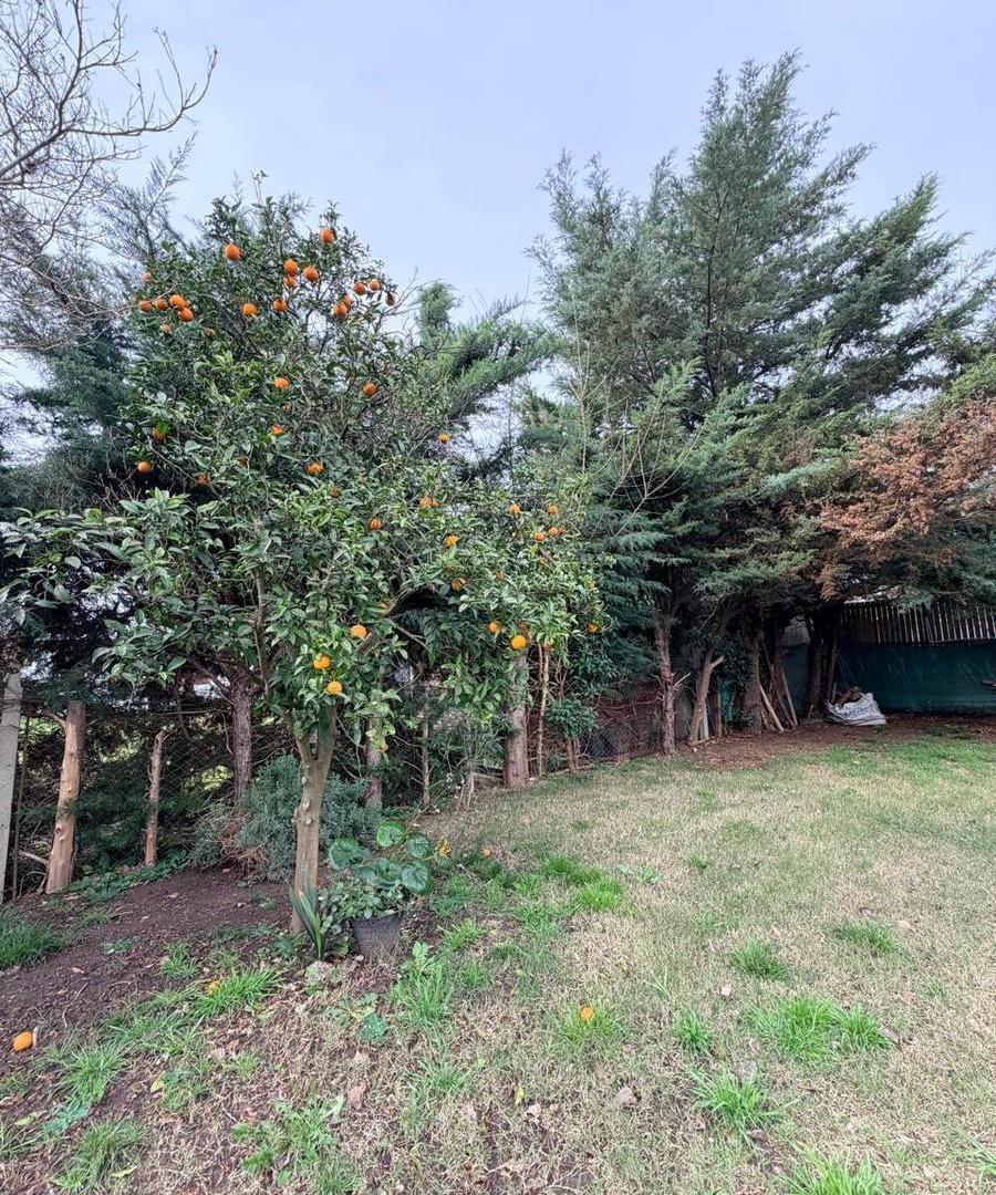 Foto de Casa en ALQUILER 3 dormitorios, parque y cochera, imagen 3