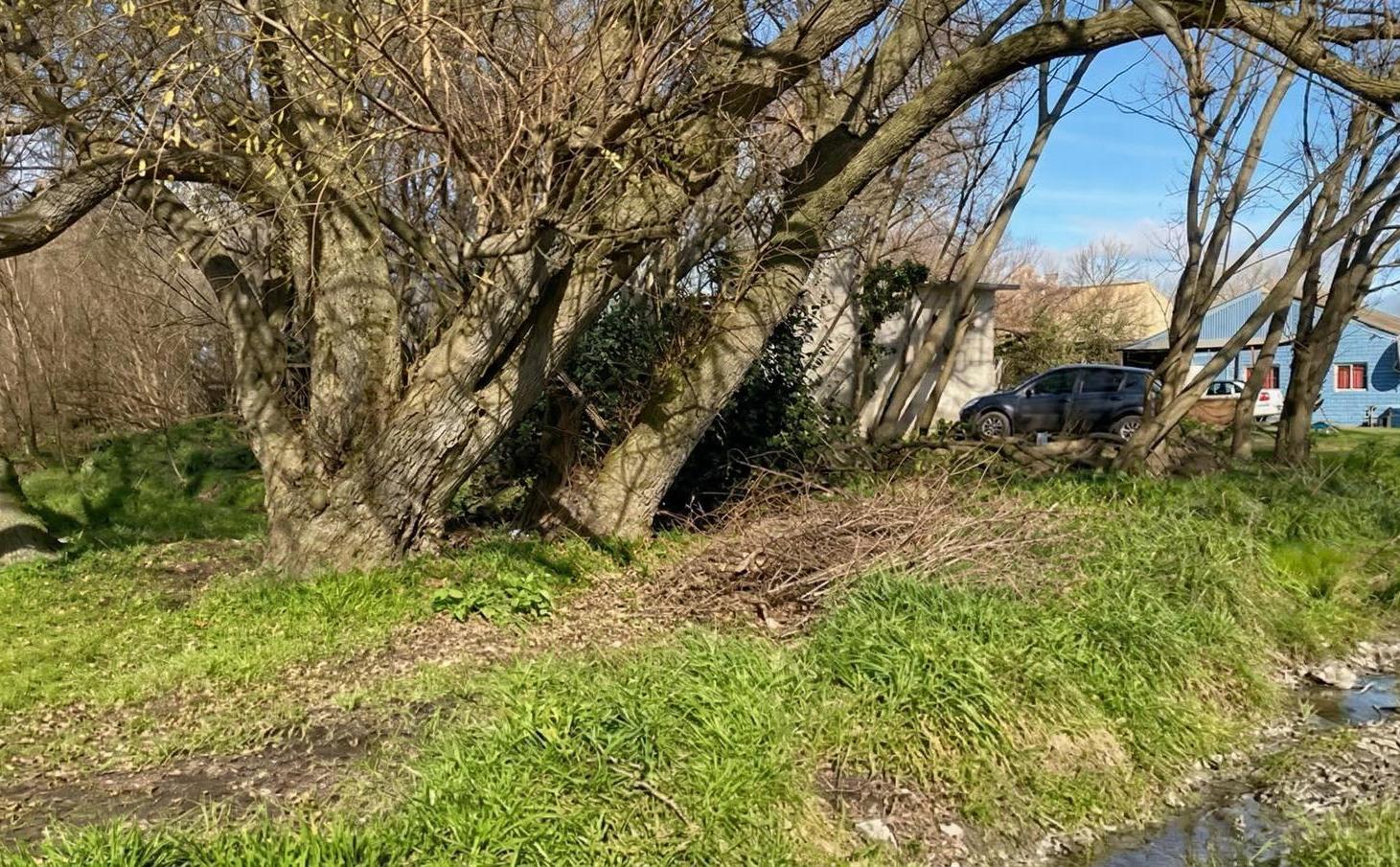 Foto de VENTA TERRENO DE 2 LOTES - SUPERFICIE 716M2 - BARRIO ESTACIÓN, imagen 4