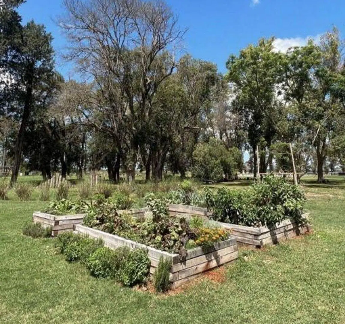VENTA LOTE BARRIO TRES PINOS - BARRIO EL ESTRIBO 5
