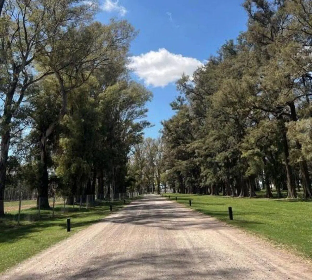 VENTA LOTE BARRIO TRES PINOS - BARRIO EL ESTRIBO 3