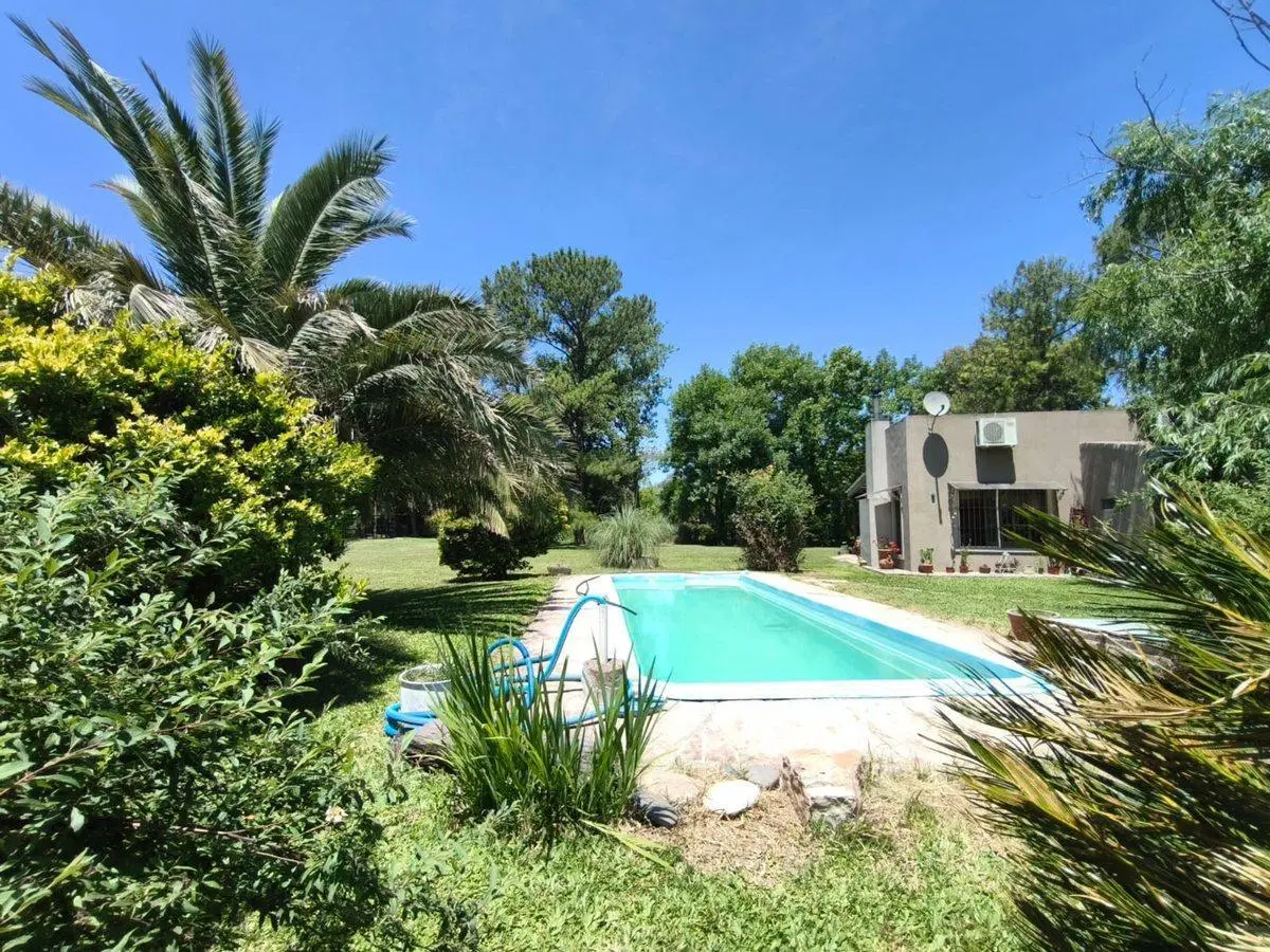 VENTA QUINTA - 20 DE JUNIO 4