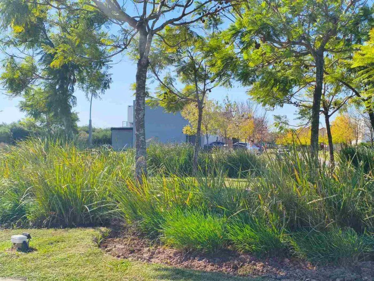 Venta Lote Premium Araucarias PuertosEscobar 513M2 3
