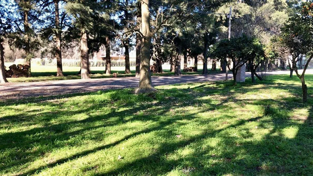 VENTA LOTE CAÑUELAS 800MTS2 5
