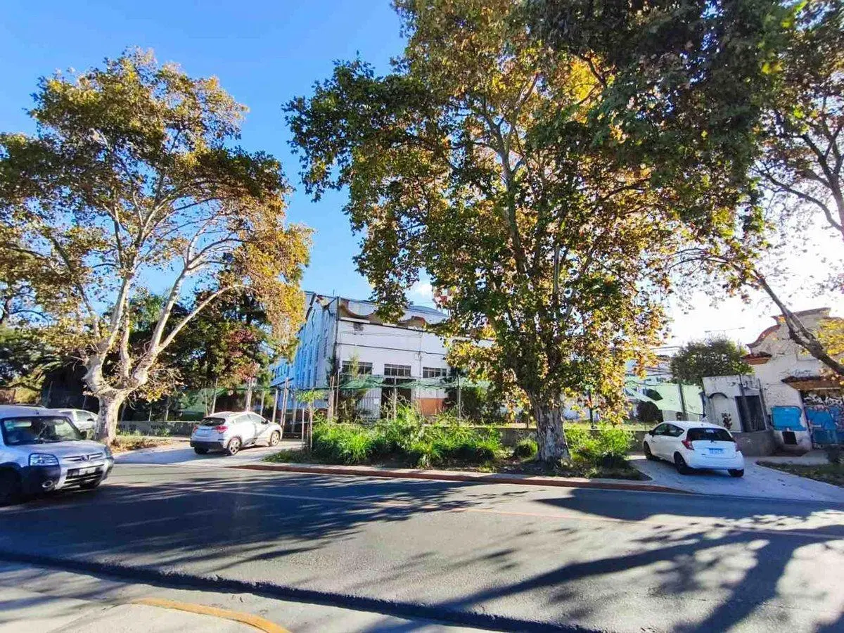 Venta Casa Lote Comercial Ideal Inversor en Tesei 3