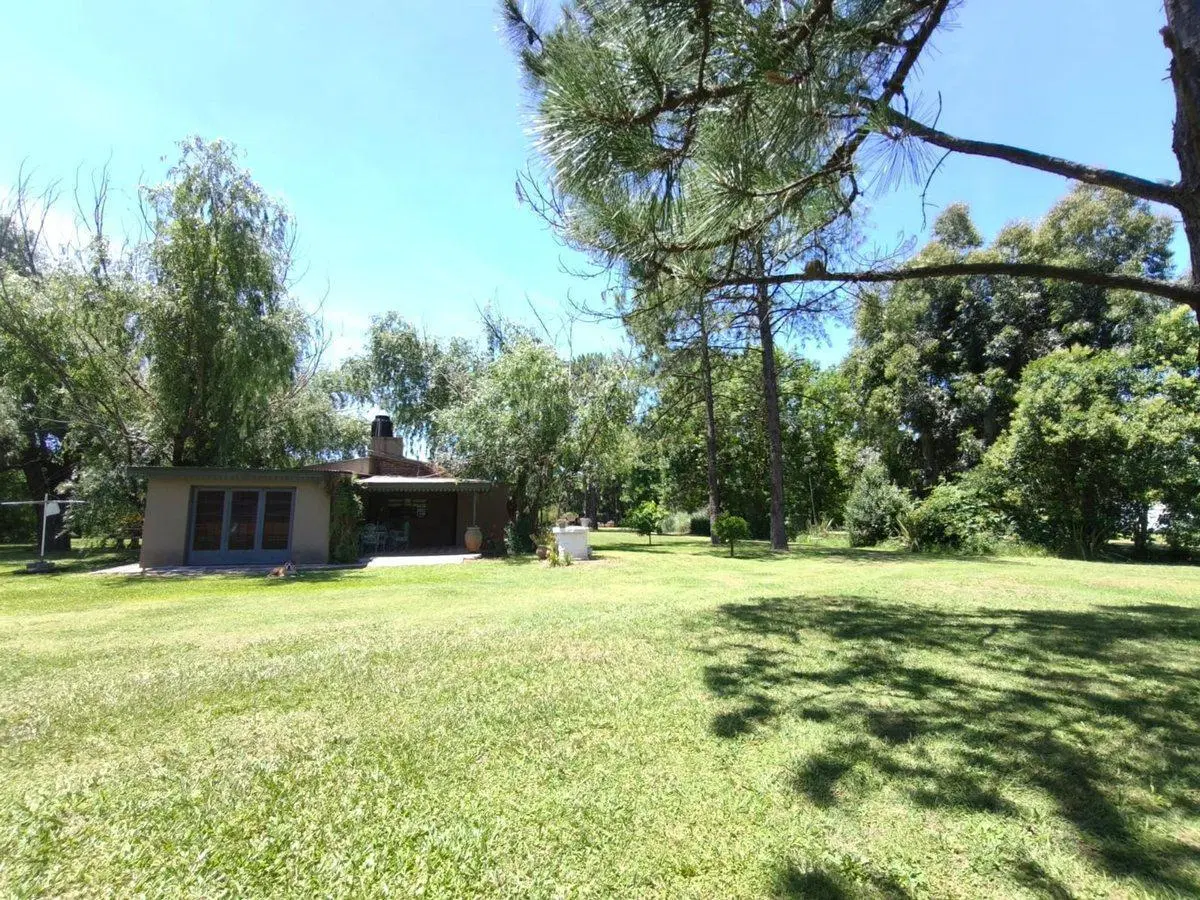 VENTA QUINTA - 20 DE JUNIO 3