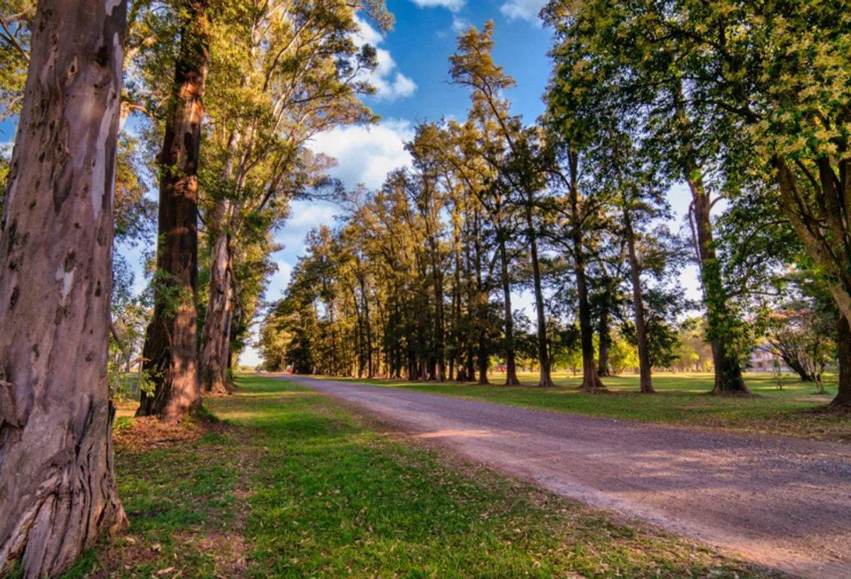 VENTA LOTE EN GRAL RODRIGUEZ ACEPTA PERMUTAS 3