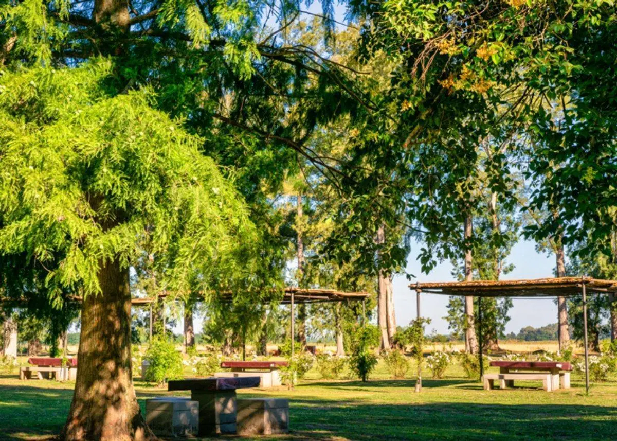 VENTA LOTE EN GRAL RODRIGUEZ ACEPTA PERMUTAS 5