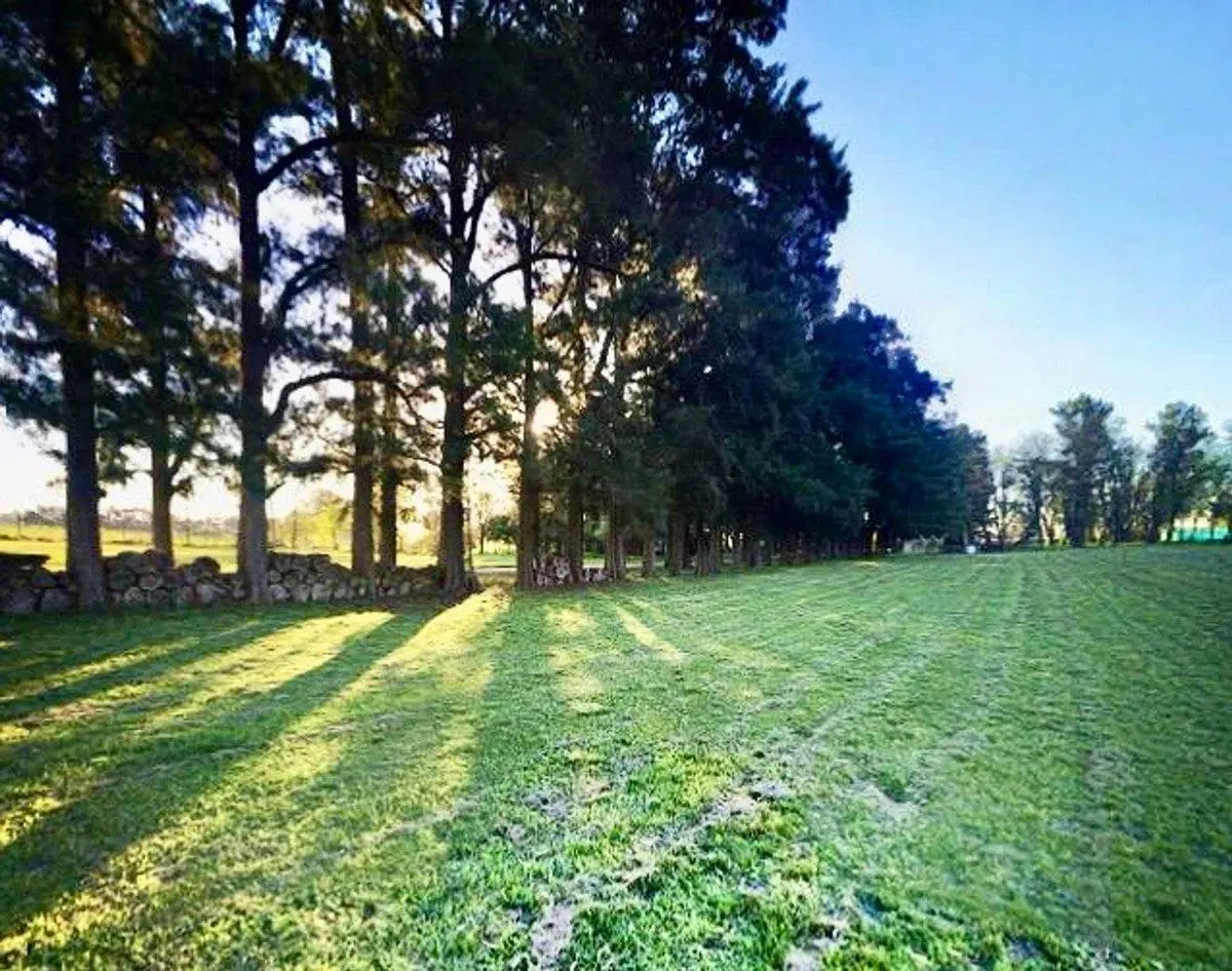 VENTA LOTE CAÑUELAS 800MTS2 3