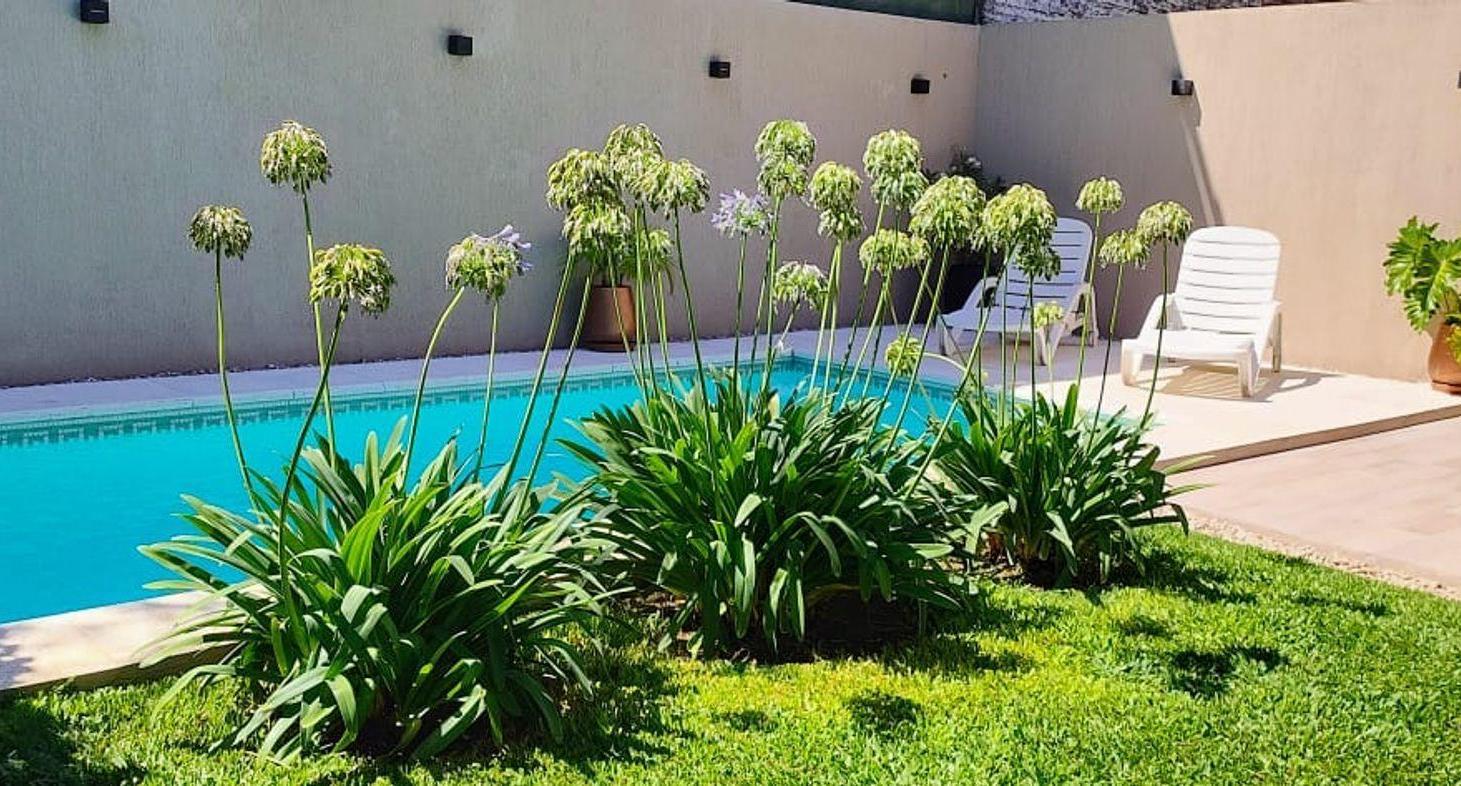 Foto de VENTA DE CASA CON QUINCHO Y PILETA WILLIAM MORRIS, imagen 3
