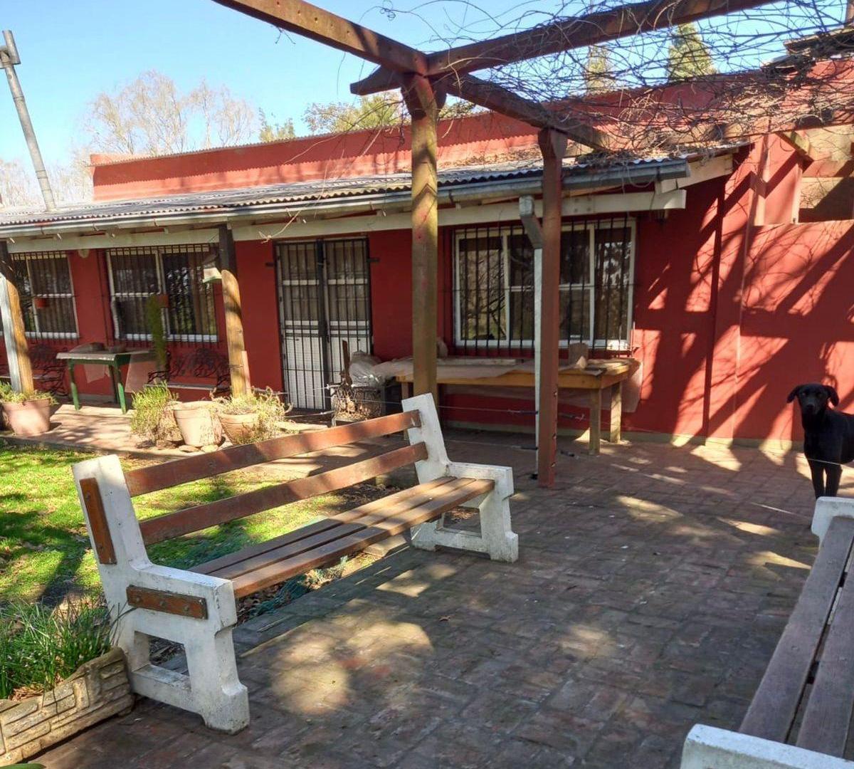 Foto de VENTA CAMPO CHACRA LOBOS ZAPIOLA, imagen 2