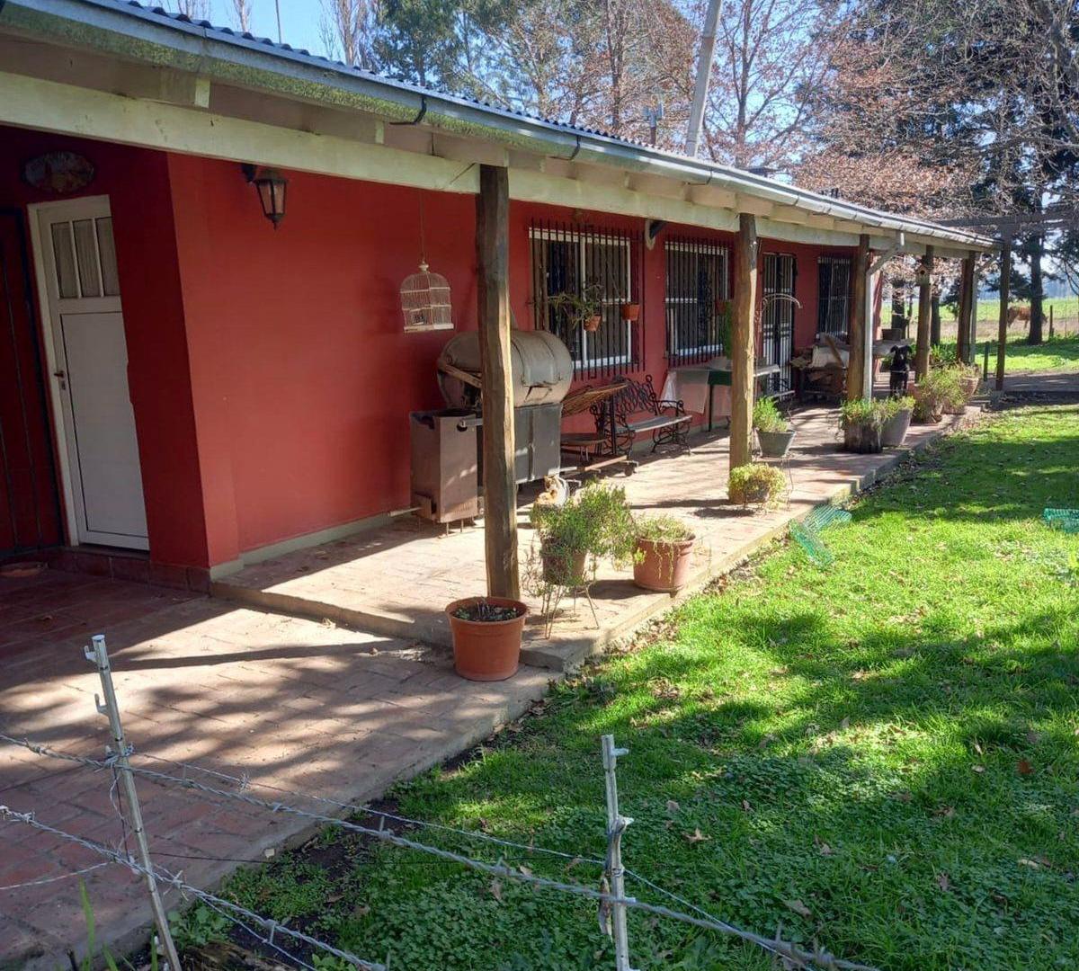 VENTA CAMPO CHACRA LOBOS ZAPIOLA