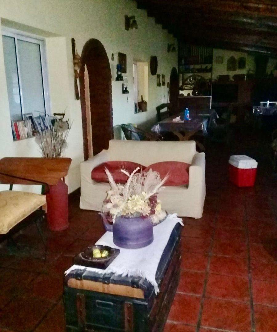Foto de VENTA CAMPO CHACRA LOBOS ZAPIOLA, imagen 4