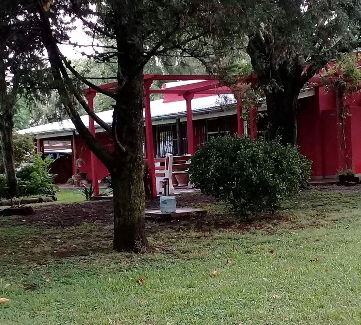 Foto de VENTA CAMPO CHACRA LOBOS ZAPIOLA, imagen 2