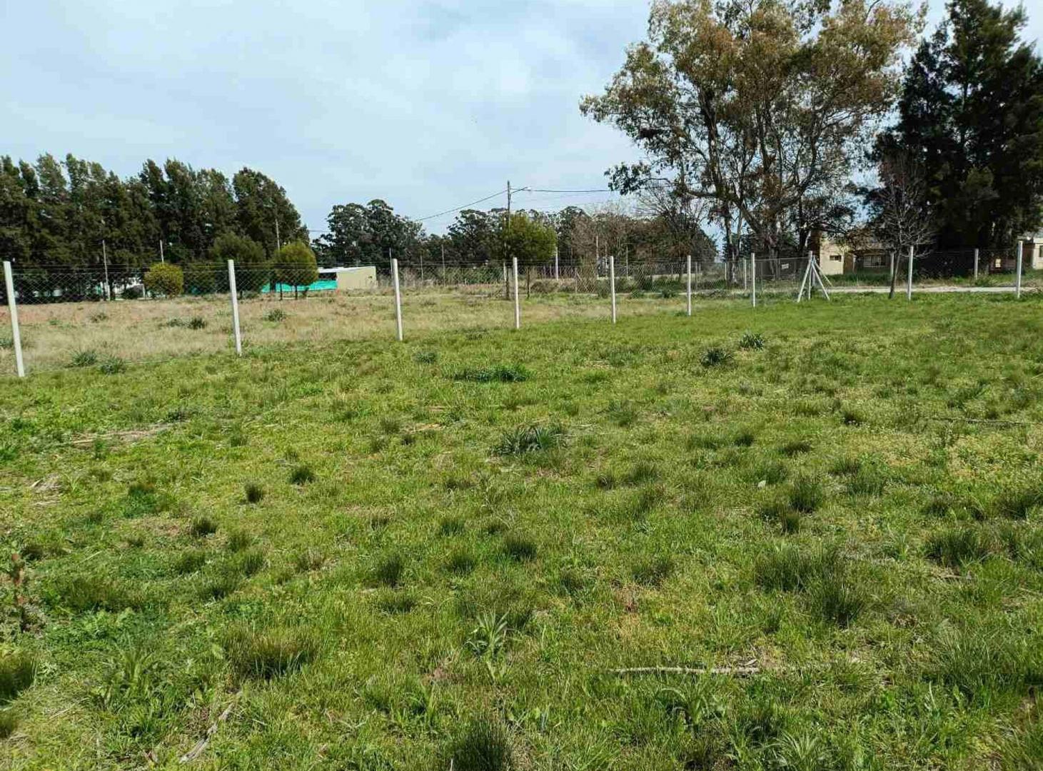Foto de VENTA LOTE 642 MTS B° FINCAS DE LA FLORIDA ZARATE, imagen 5
