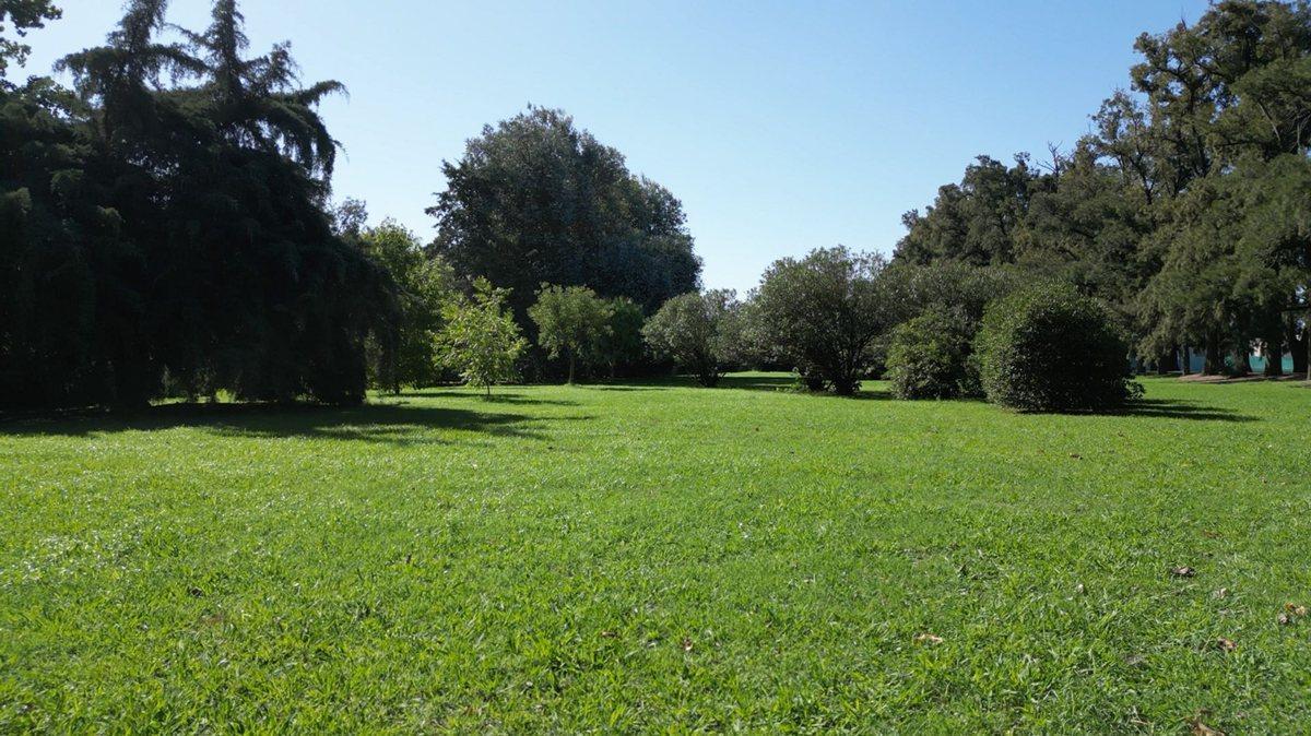 Foto de Venta Lote terreno La Esperanza Rodriguez, imagen 5