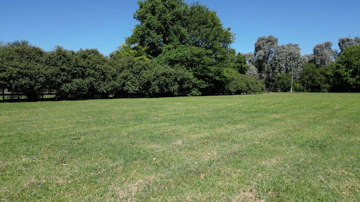 Foto de Venta Lote terreno La Esperanza Rodriguez, imagen 2