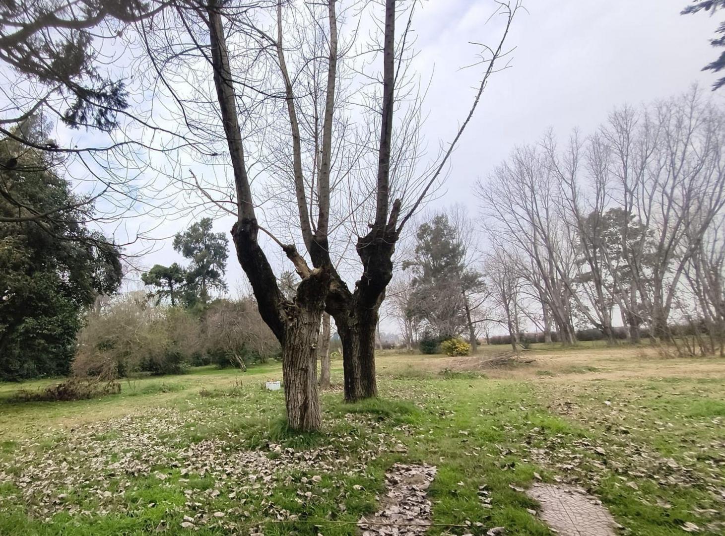 Foto de VENTA LOTE 10.515 MTS INVERSIÓN DERQUI - PILAR, imagen 4