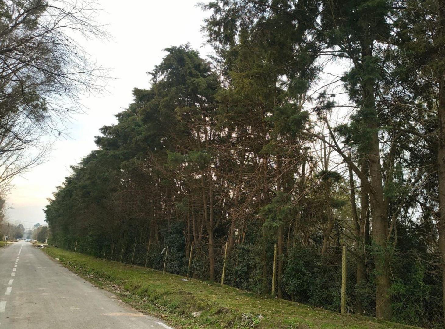 Foto de VENTA LOTE 10.515 MTS INVERSIÓN DERQUI - PILAR, imagen 3