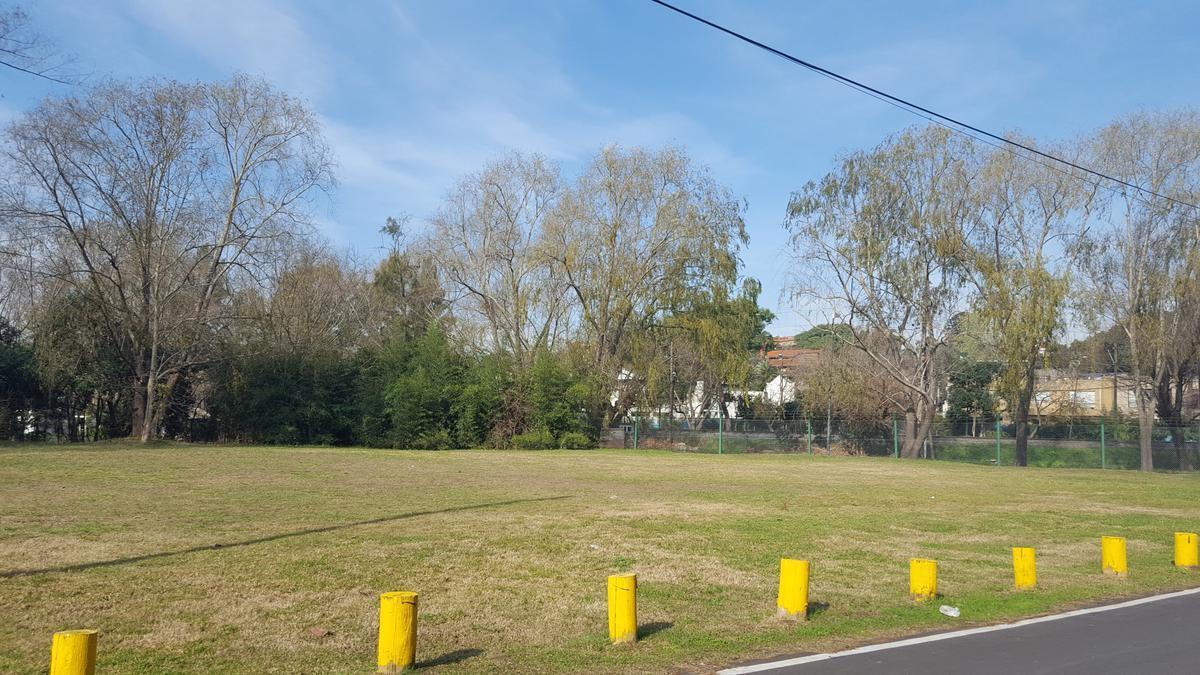 Terreno - Punta Chica 3
