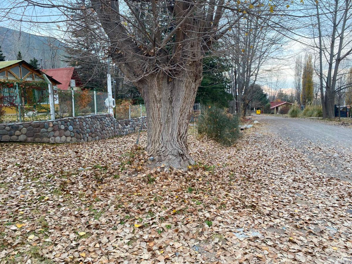 Foto de Casa en venta en Potrerillos, Las Carditas, imagen 4