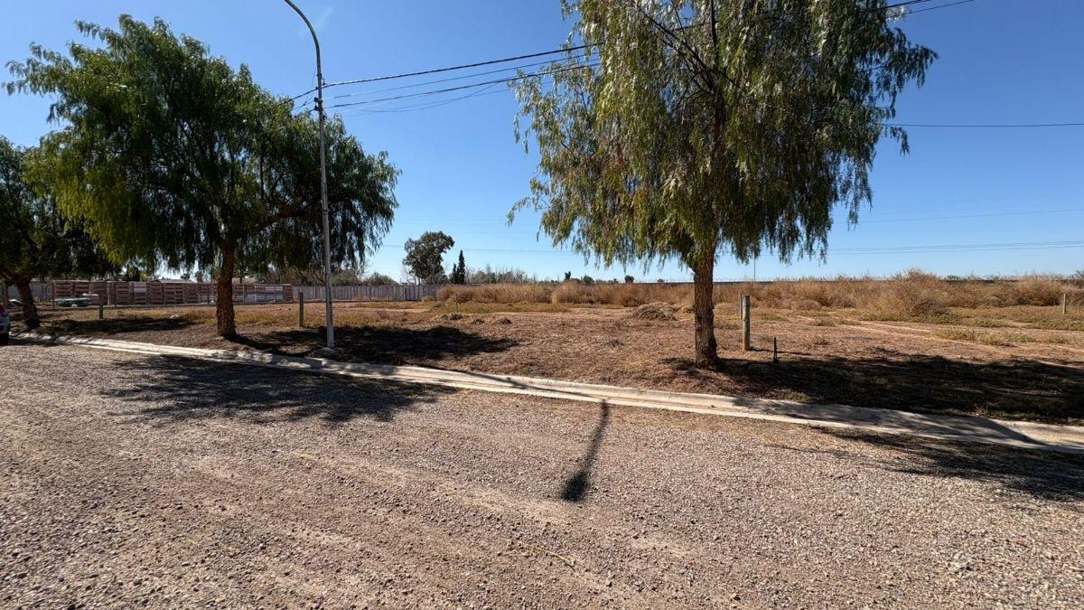 Foto de LOTE EN VENTA 537MT2 - ESCRITURA INMEDIATA- BARRIO PRIVADO - GLLEN, imagen 5