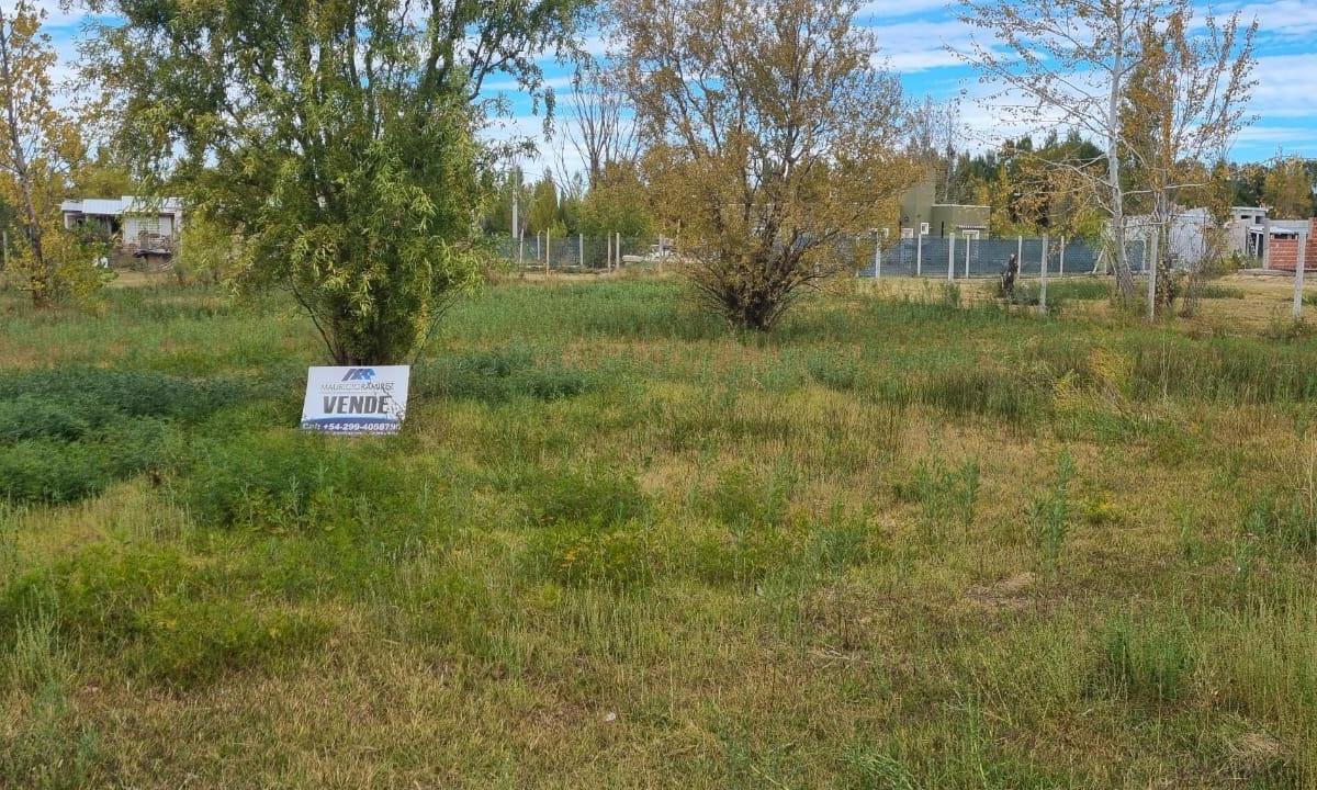 Venta Terreno - Barrio Rincon de Los Patos - Plottier 2