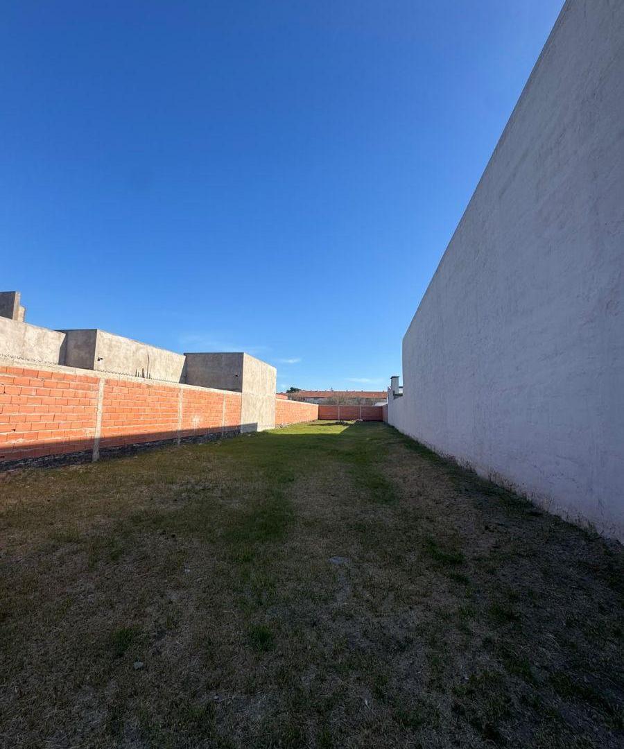 Foto de Terreno en Venta – Villa Rosas, imagen 2