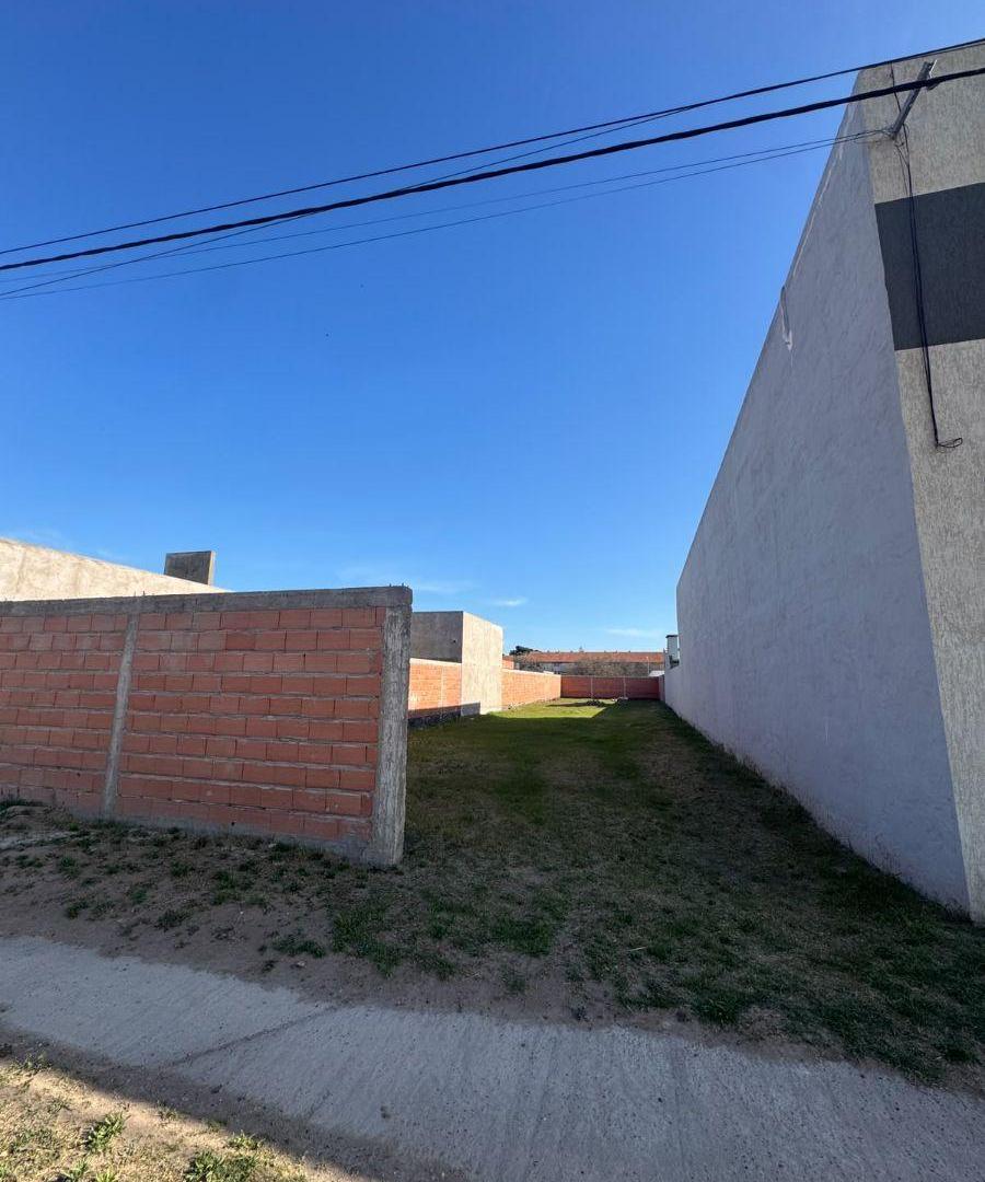 Foto de Terreno en Venta – Villa Rosas, imagen 5
