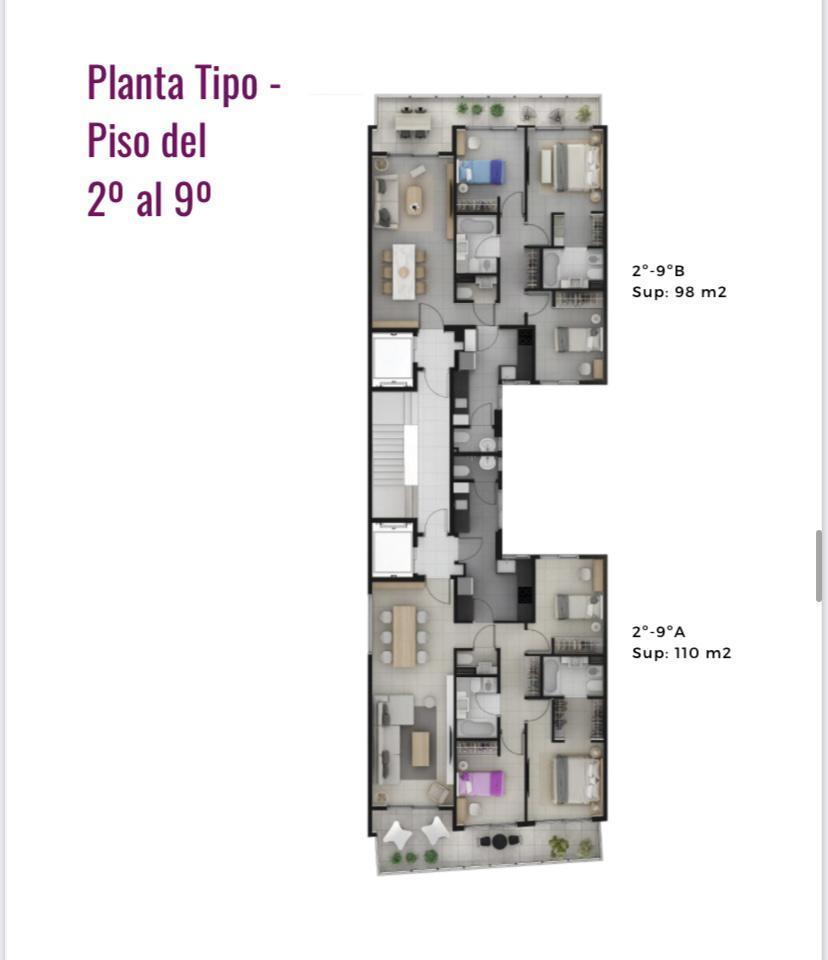 Plano 6