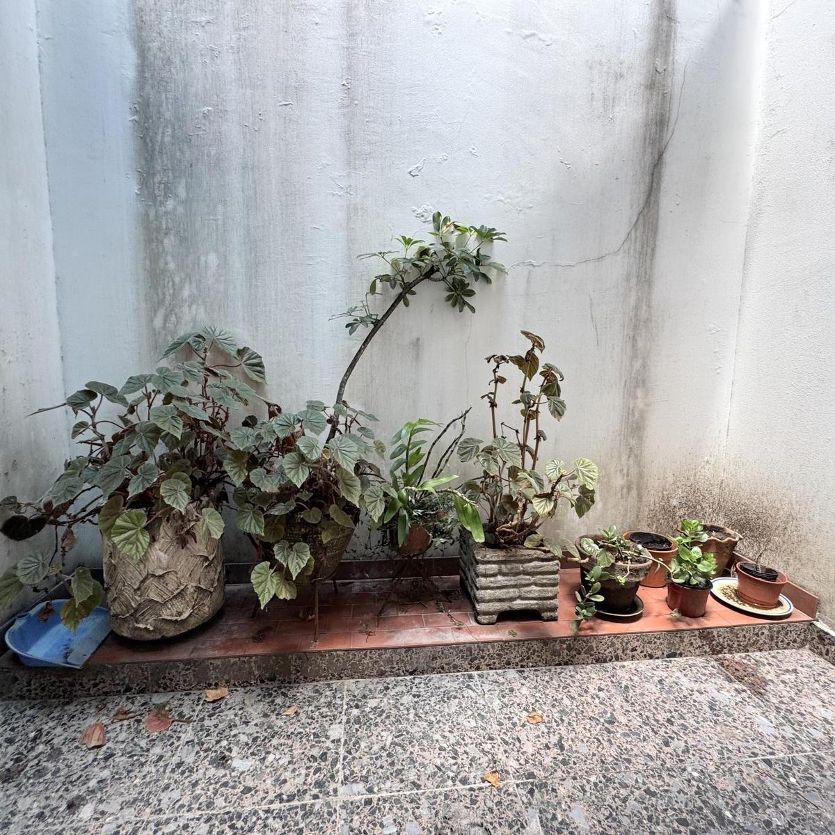Venta Casa Caballito - Dos Plantas - Terraza - Garaje 4