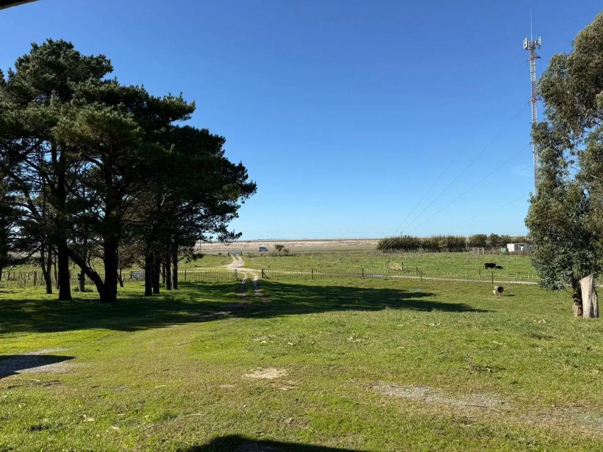 Excelente fracción de campo ubicada en Mar Chiquita, Provincia de Buenos Aires, sobre Ruta 4