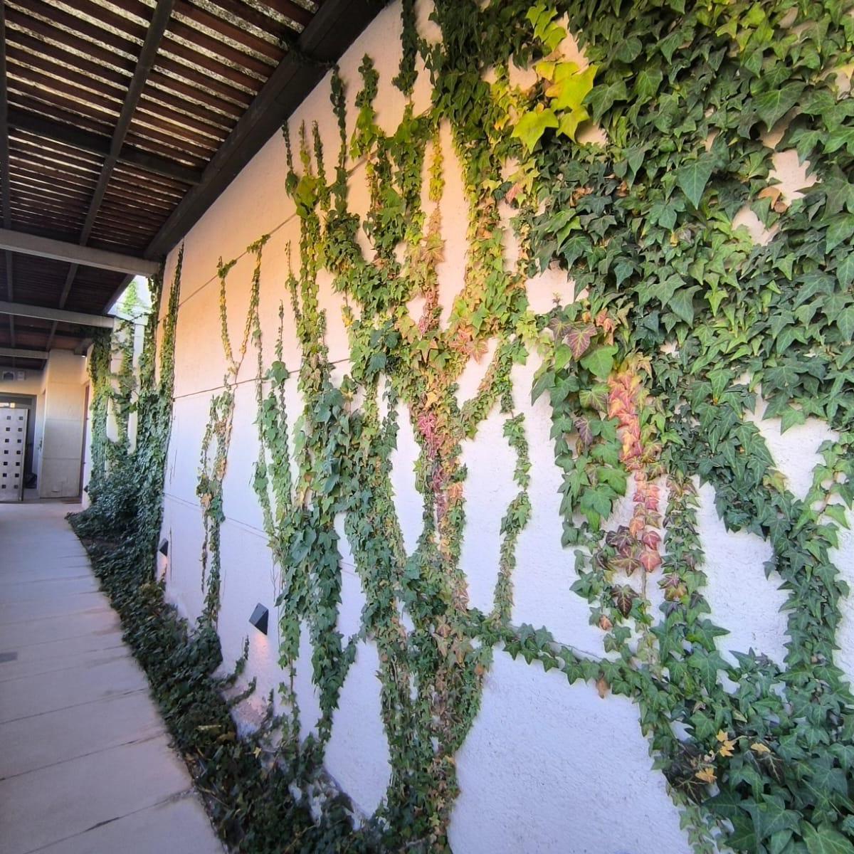 Casa en Venta Barrio Palmares, Godoy Cruz, Mendoza 2