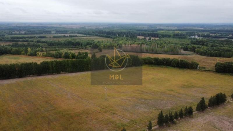 Foto de FINCA 40 HECTAREAS EN VENTA EN TUNUYAN MENDOZA, imagen 5