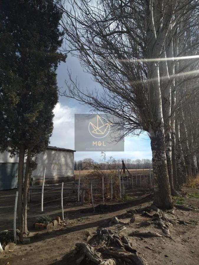 Finca 40 Ha en Venta en Tunuyan Mendoza 2
