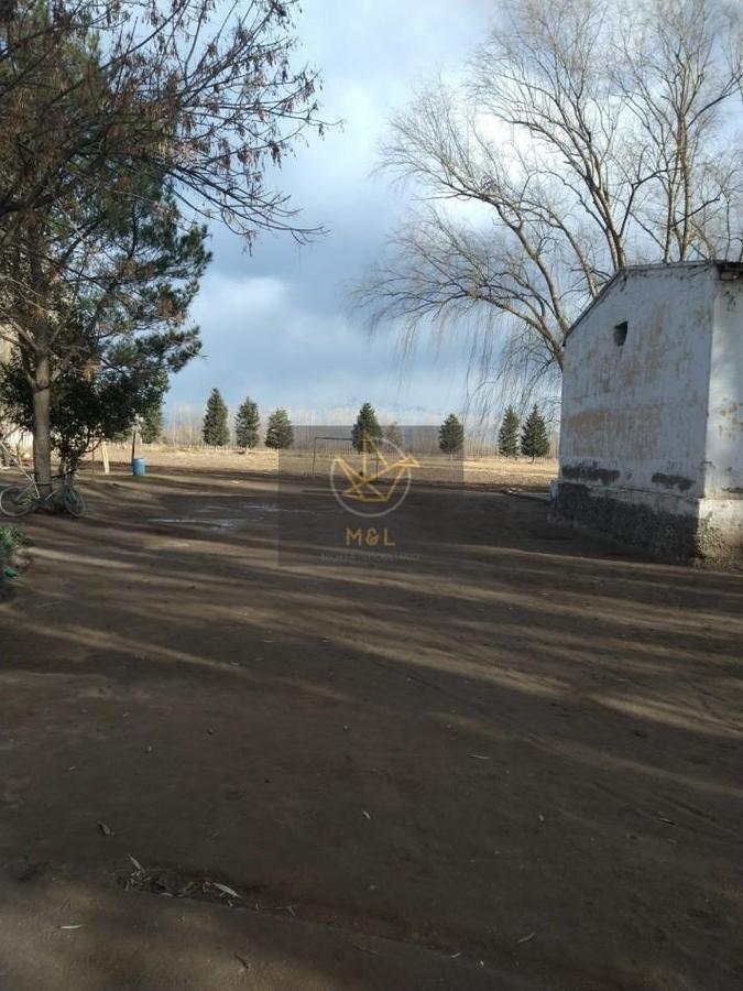 Foto de FINCA 40 HECTAREAS EN VENTA EN TUNUYAN MENDOZA, imagen 4