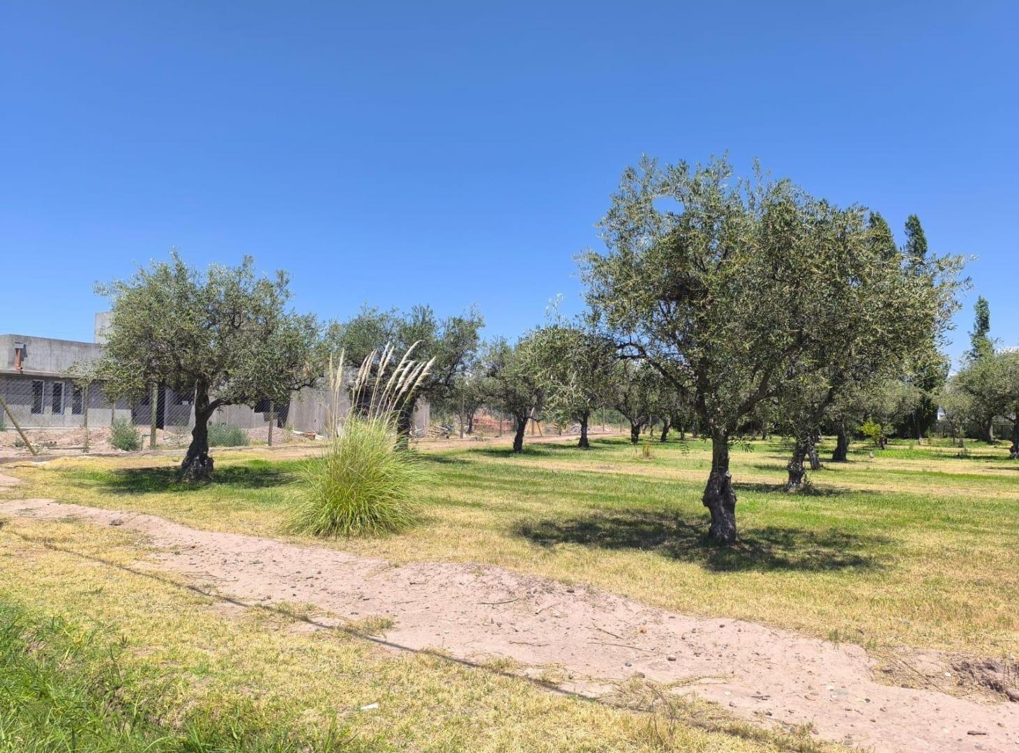 Lote en Venta cerca de Vieytes, Maipú Mendoza