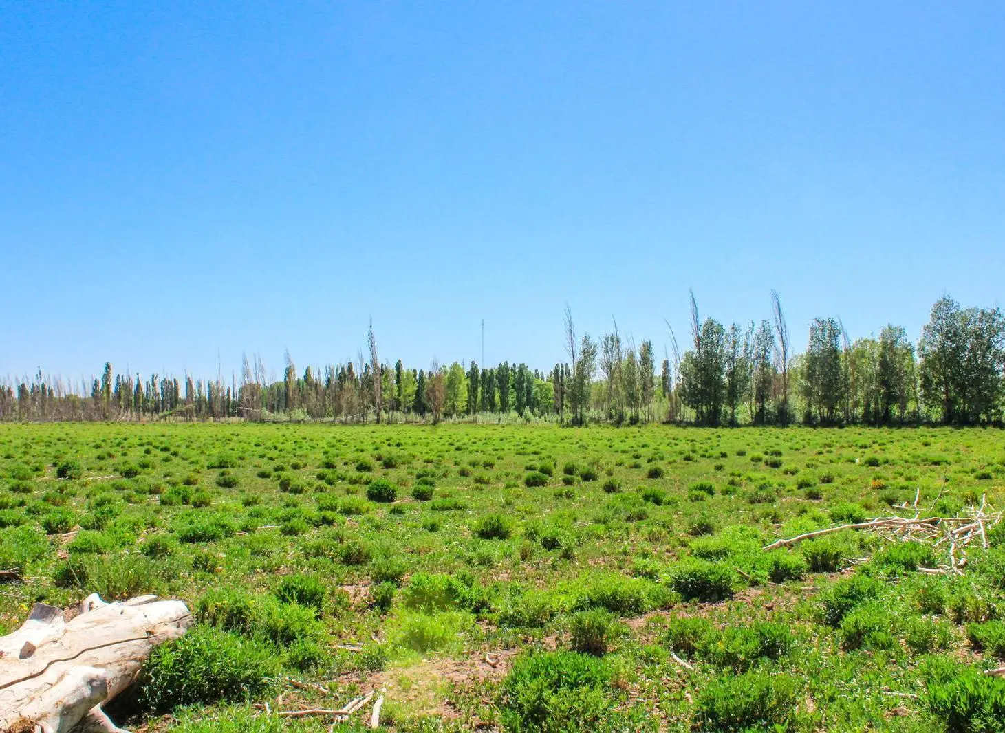 Terreno industrial 4 Ha con Pozo, Gas y Agua corriente en Malargue 3