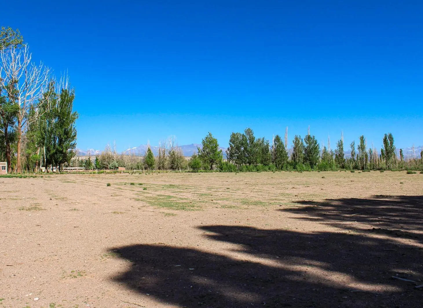 Terreno industrial 4 Ha con Pozo, Gas y Agua corriente en Malargue 2