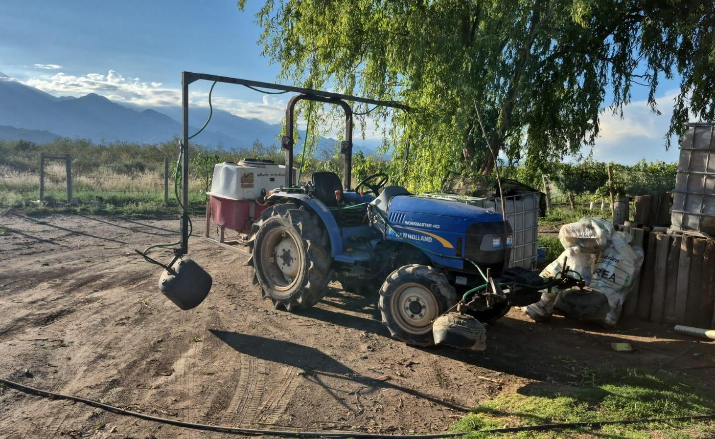 Foto de FINCA DE ALTURA VID 42 HA EN ALTAMIRA SAN CARLOS MEDOZA, imagen 3