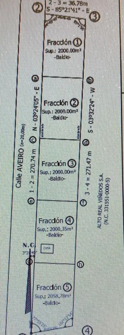 Plano 1